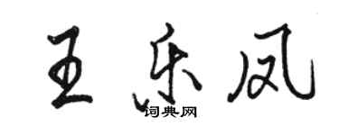 駱恆光王樂鳳行書個性簽名怎么寫