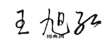 駱恆光王旭紅草書個性簽名怎么寫