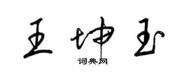 梁錦英王坤玉草書個性簽名怎么寫