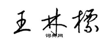 梁錦英王林標草書個性簽名怎么寫