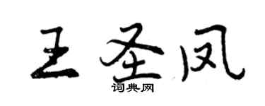 曾慶福王聖鳳行書個性簽名怎么寫