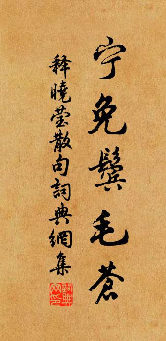 釋曉瑩句書法作品欣賞