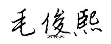 王正良毛俊熙行書個性簽名怎么寫