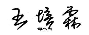朱錫榮王培霖草書個性簽名怎么寫
