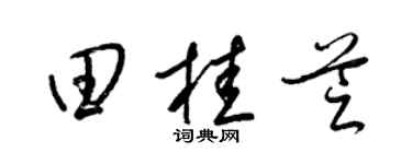 梁錦英田桂芝草書個性簽名怎么寫