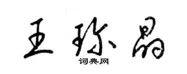 梁錦英王珍晶草書個性簽名怎么寫