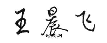駱恆光王晨飛行書個性簽名怎么寫