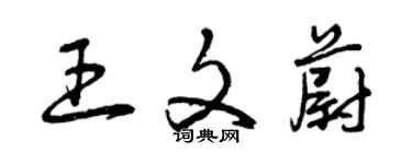 曾慶福王文蔚草書個性簽名怎么寫