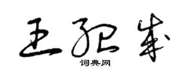 曾慶福王紀成草書個性簽名怎么寫