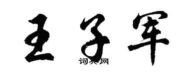 胡問遂王子軍行書個性簽名怎么寫