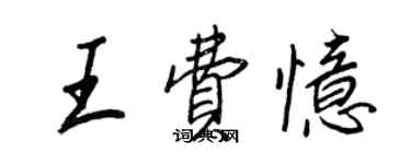 王正良王費憶行書個性簽名怎么寫