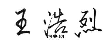 駱恆光王浩烈行書個性簽名怎么寫