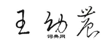 駱恆光王幼農草書個性簽名怎么寫