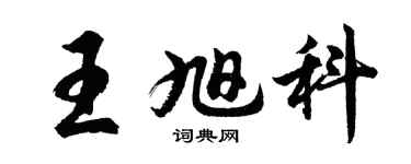 胡問遂王旭科行書個性簽名怎么寫