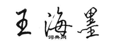 駱恆光王海墨行書個性簽名怎么寫