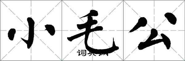 翁闓運小毛公楷書怎么寫