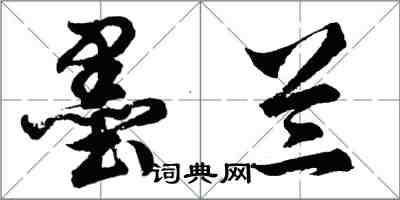 胡問遂墨蘭行書怎么寫