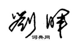 朱錫榮劉暉草書個性簽名怎么寫