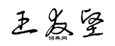 曾慶福王友堅草書個性簽名怎么寫