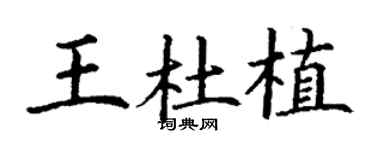 丁謙王杜植楷書個性簽名怎么寫