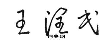 駱恆光王潤民草書個性簽名怎么寫