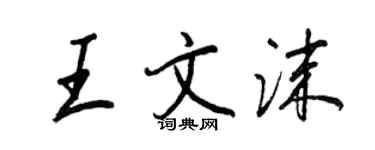 王正良王文沫行書個性簽名怎么寫