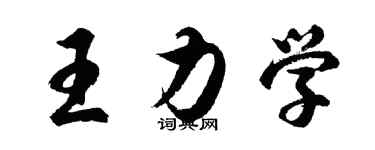胡問遂王力學行書個性簽名怎么寫