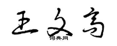 曾慶福王文高草書個性簽名怎么寫