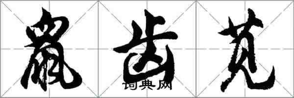 胡問遂鼠齒莧行書怎么寫