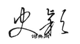 駱恆光史穎草書個性簽名怎么寫