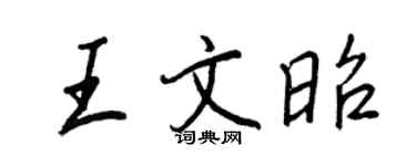 王正良王文昭行書個性簽名怎么寫