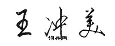 駱恆光王沖美行書個性簽名怎么寫