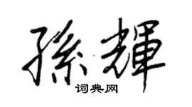 王正良孫輝行書個性簽名怎么寫