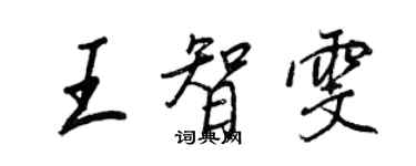 王正良王智雯行書個性簽名怎么寫