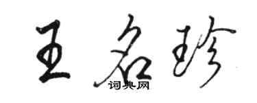 駱恆光王名珍行書個性簽名怎么寫