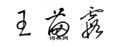 駱恆光王苗霞草書個性簽名怎么寫