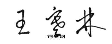 駱恆光王寒林草書個性簽名怎么寫