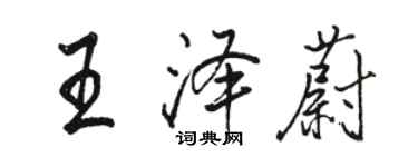 駱恆光王澤蔚行書個性簽名怎么寫