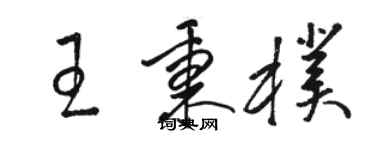 駱恆光王秉朴草書個性簽名怎么寫