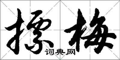 胡問遂摽梅行書怎么寫