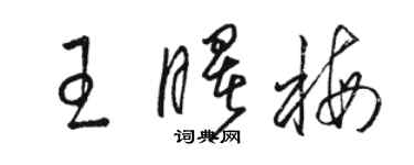 駱恆光王曙梅草書個性簽名怎么寫