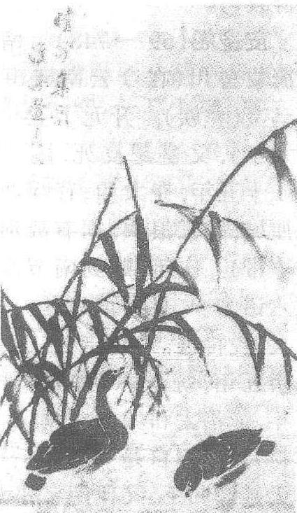 邊壽民_邊壽民介紹_歷史知識