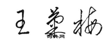 駱恆光王菊梅草書個性簽名怎么寫