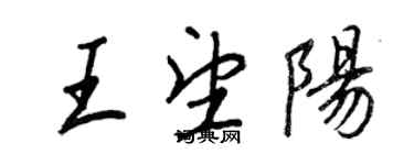 王正良王望陽行書個性簽名怎么寫