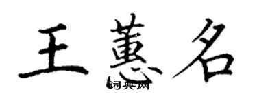 丁謙王蕙名楷書個性簽名怎么寫