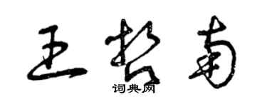 曾慶福王哲南草書個性簽名怎么寫