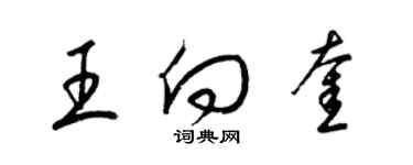 梁錦英王向奎草書個性簽名怎么寫