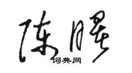 駱恆光陳曙草書個性簽名怎么寫