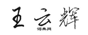 駱恆光王雲輝行書個性簽名怎么寫