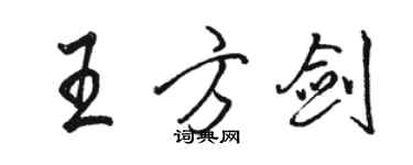 駱恆光王方劍行書個性簽名怎么寫